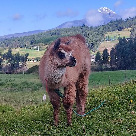 Cuscungo Cotopaxi Hostel & Lodge Chasqui Exterior photo